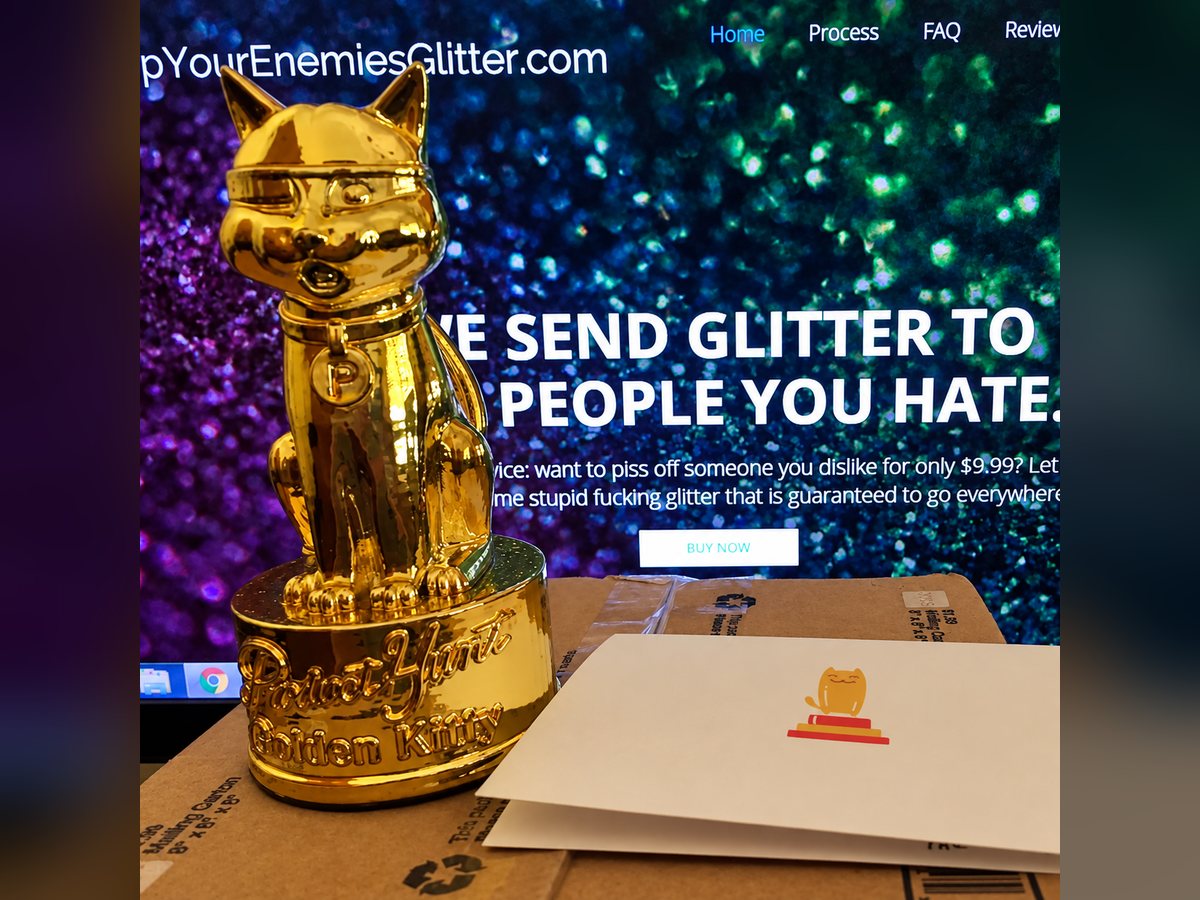 A Golden Kitty trophy on a shipping box in front of a screen showing the Ship Your Enemies Glitter website